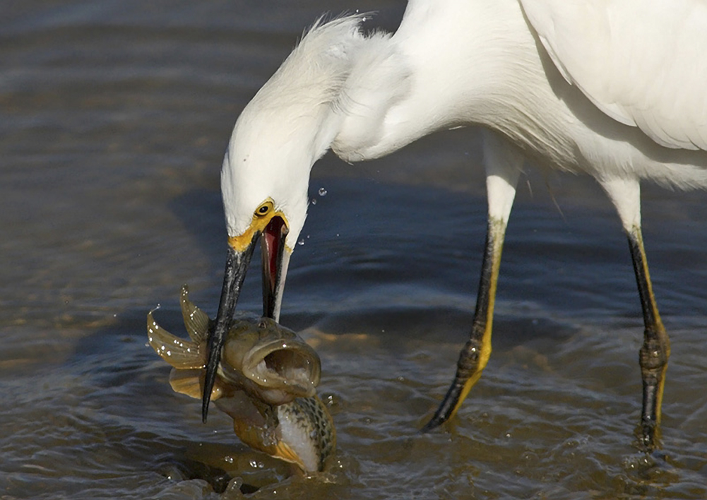 銅牌獎_dsc4839_211.jpg