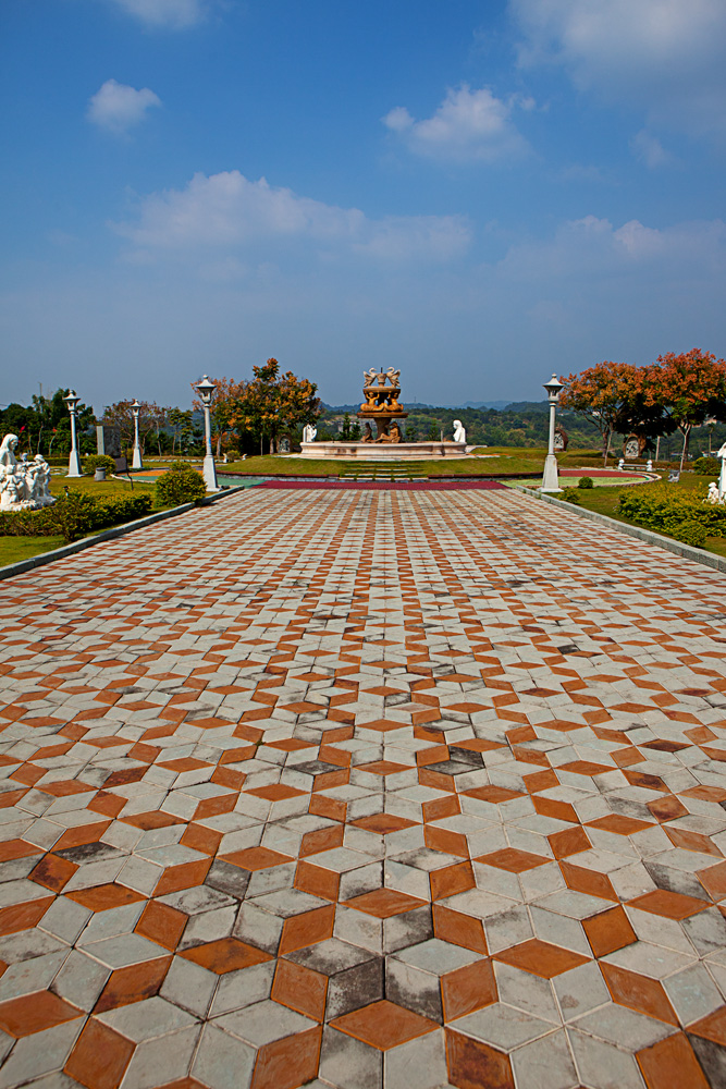 IMG_7898.jpg
