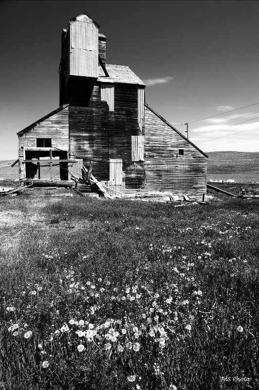 2012-05-19d-Grain Elevator-003bw.jpg