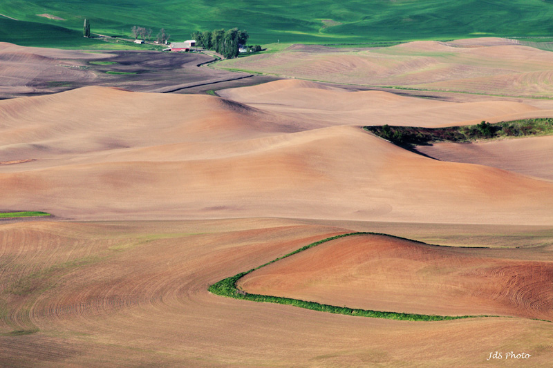 2012-05-18a-Steptoe Butte-006s.jpg