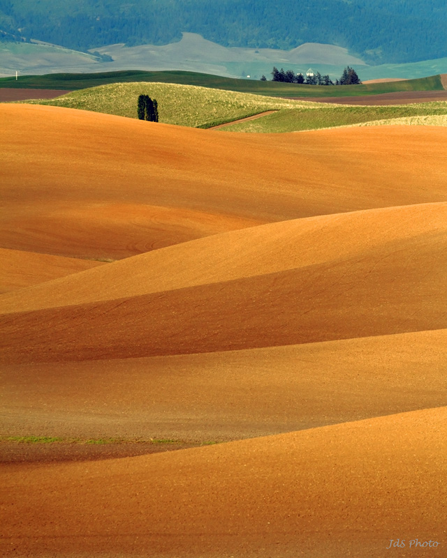 2012-05-19i-Steptoe Butte-004s.jpg