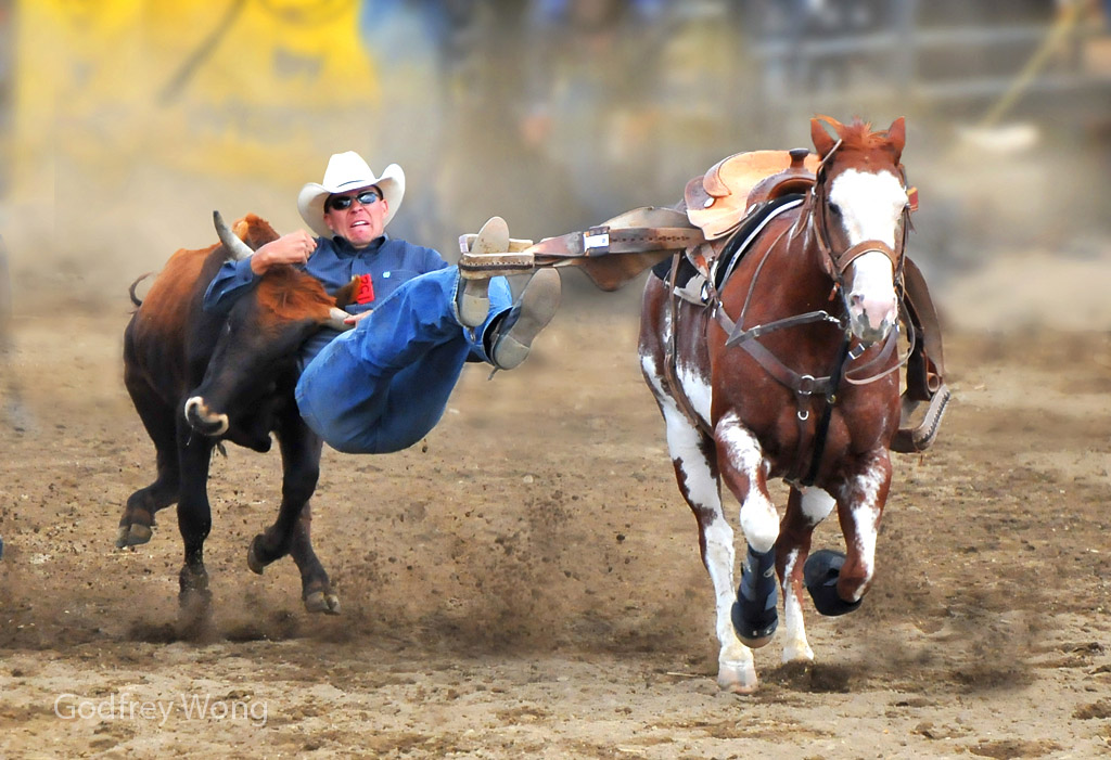 Steer Wrestling 3.jpg