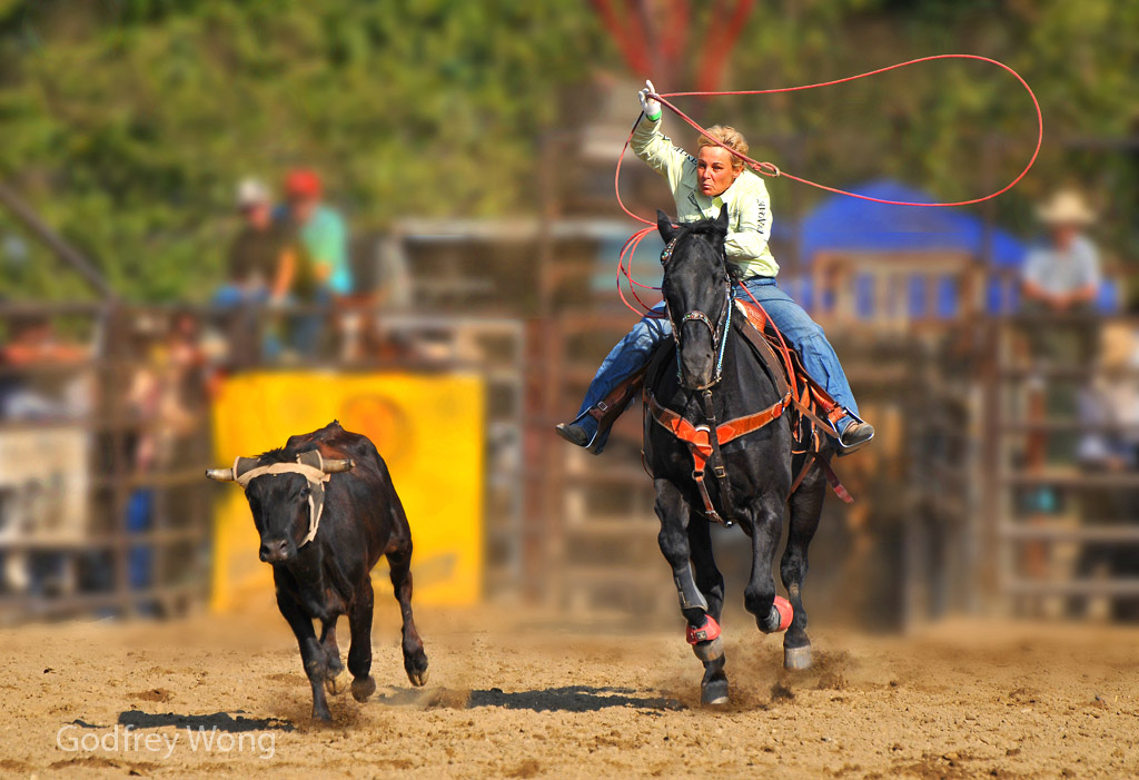 Cowgirl.jpg