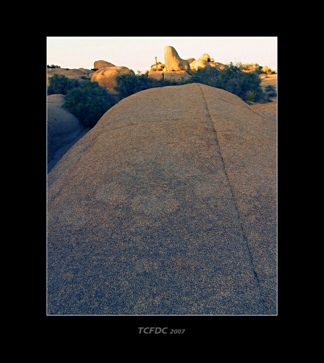 CRW_0142a.jpg