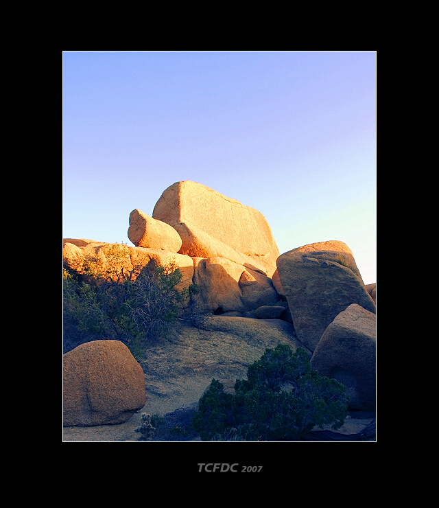 CRW_0137.jpg