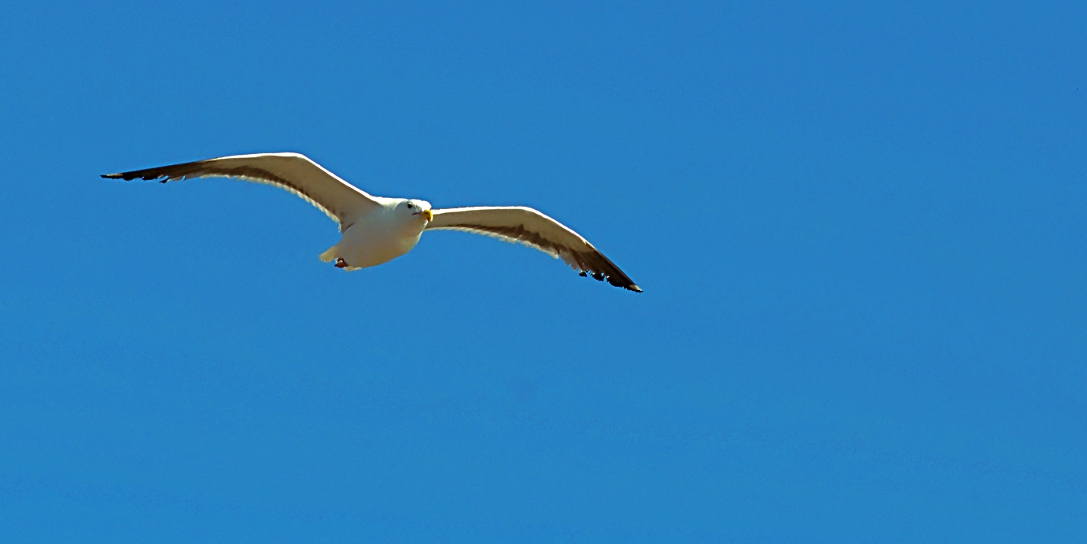 wetland-DSC_0681.jpg