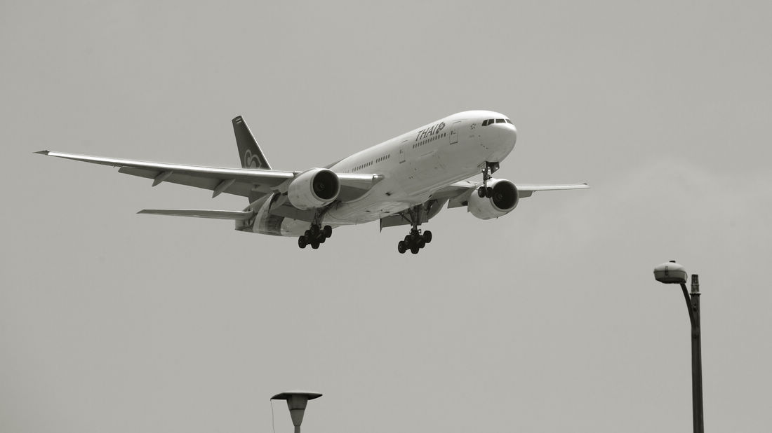 DSC_0442.jpg