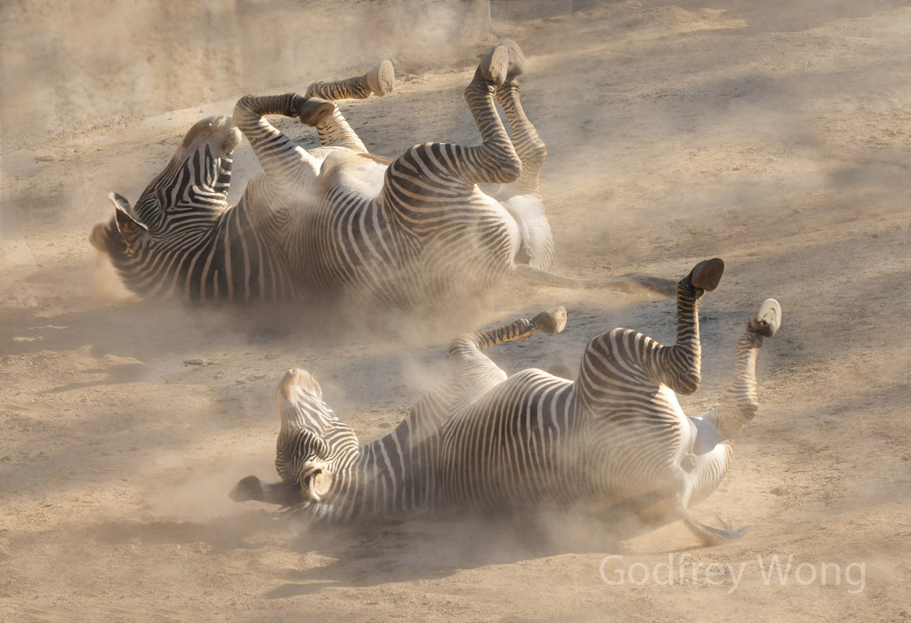 Sand Bath.jpg