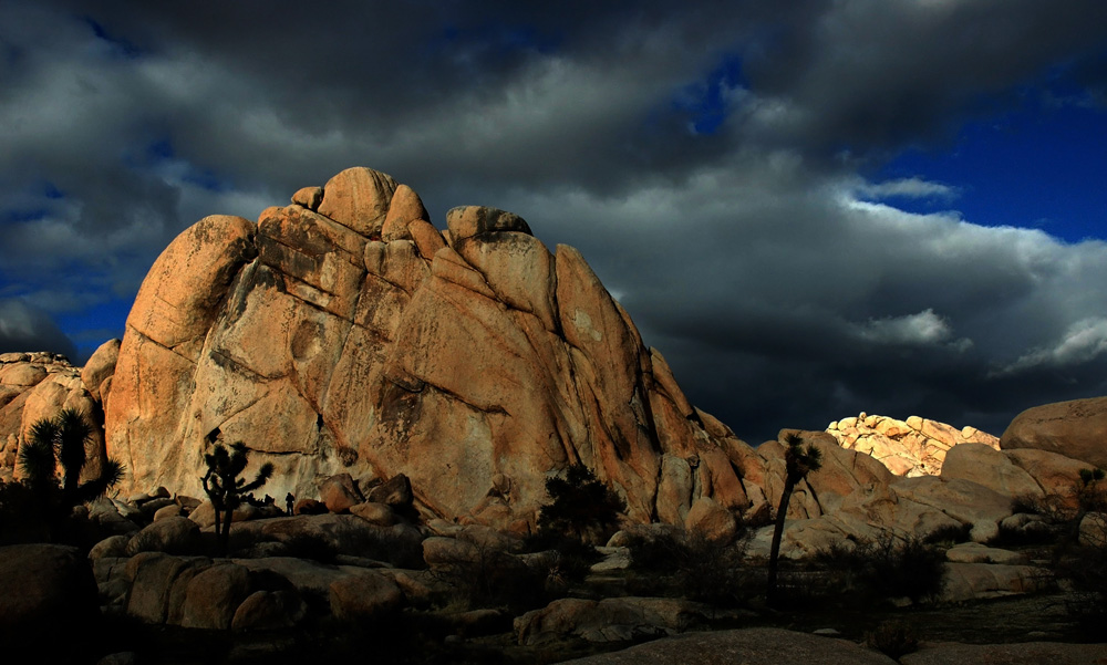 Joshua Tree NP.jpg