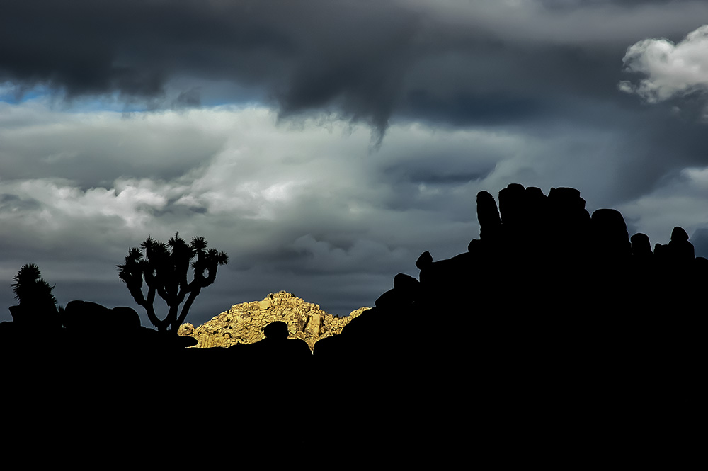 Joshua Tree NP 2.jpg