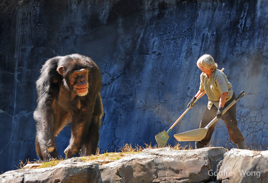 Chimp & Zookeeper.jpg
