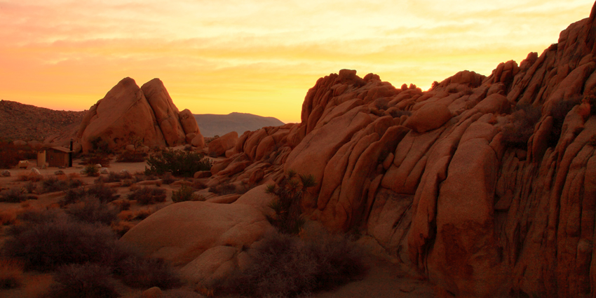 2012-12-16a-Joshua Tree-010s.jpg