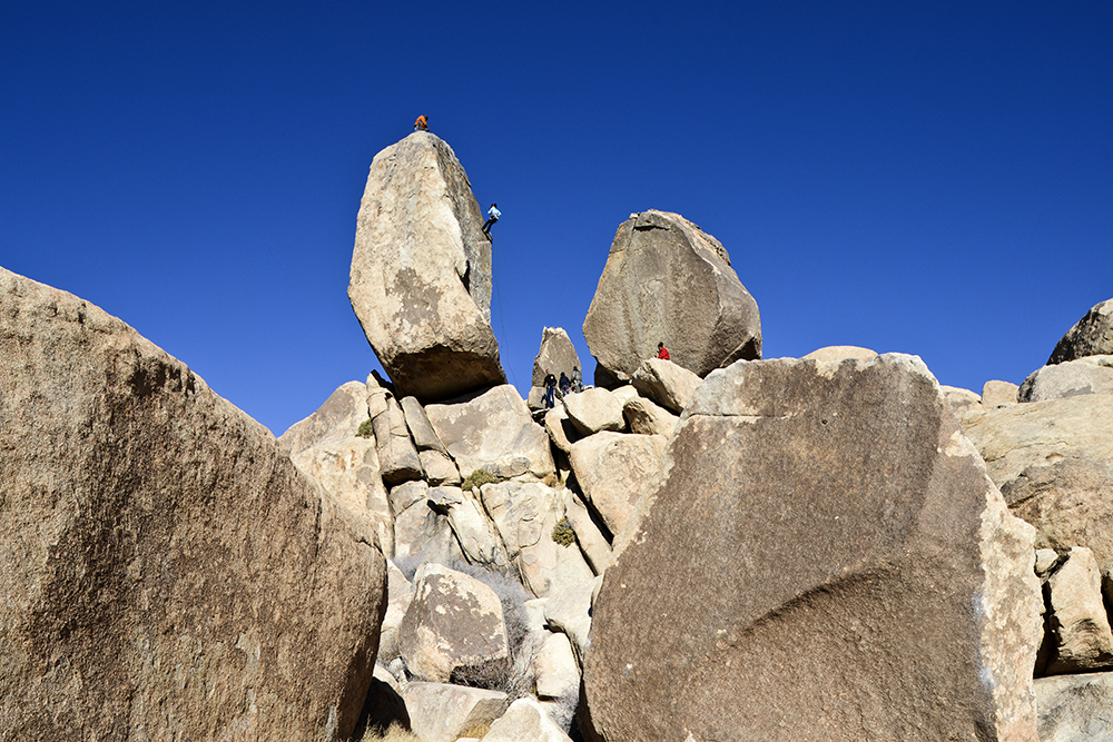 Joshua Tree Photo 2.jpg