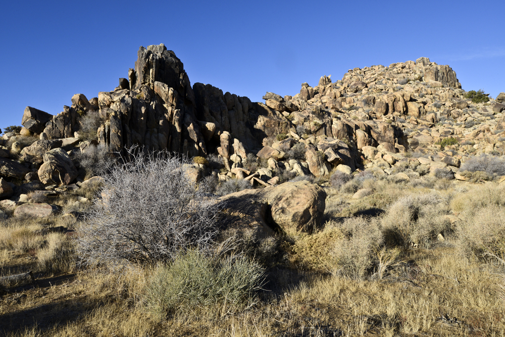 Joshua Tree Rock 3.jpg