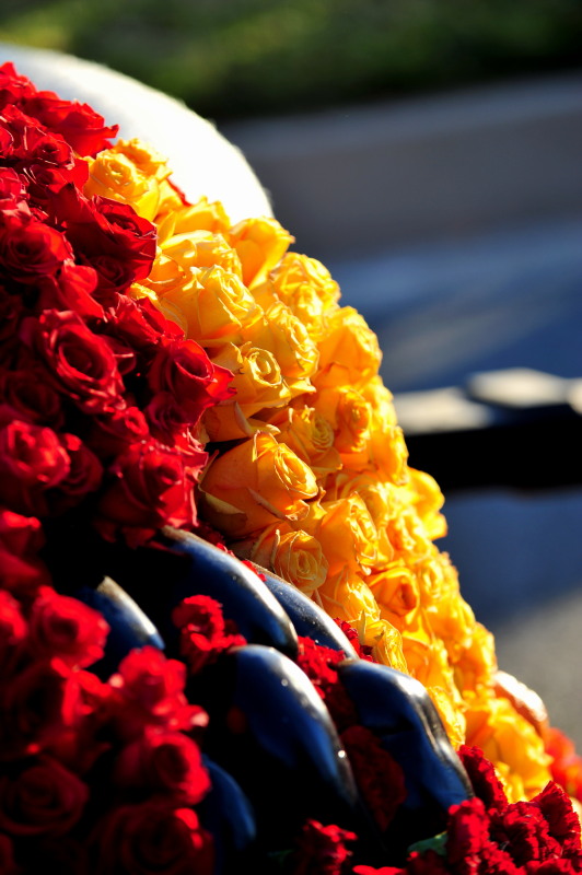 DSC_2038c.jpg