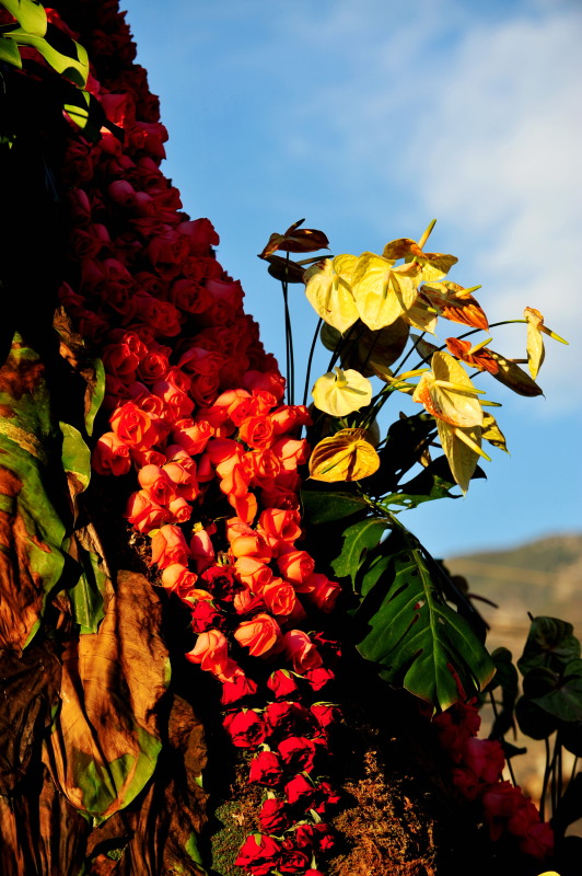 DSC_2091c.jpg