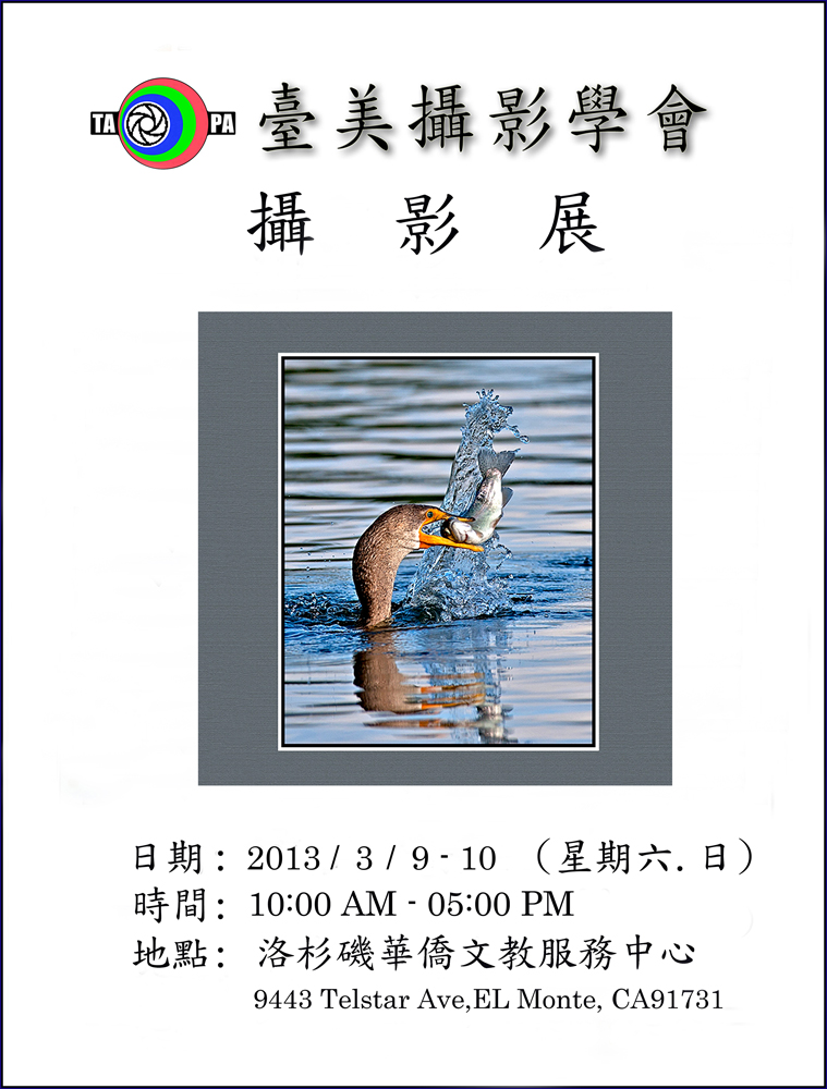 TAPA Exhibition Poster March 2013.jpg