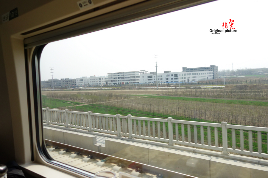 DSC00333.jpg