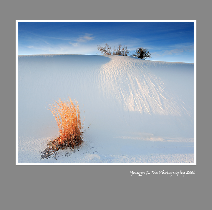 WhiteSands_MG_6881-4by5-Fra.jpg