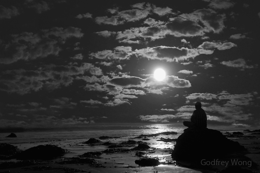 Moonlight Meditation.jpg