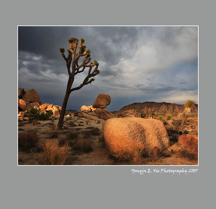 Joshua-072007-B.jpg