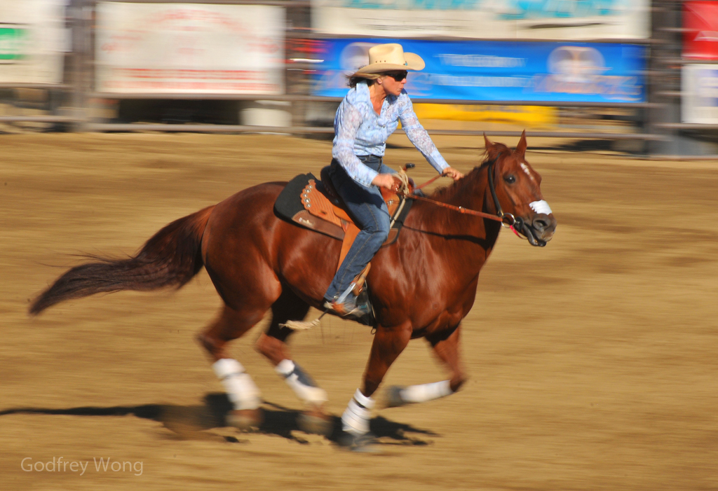 Cowgirl 3.jpg