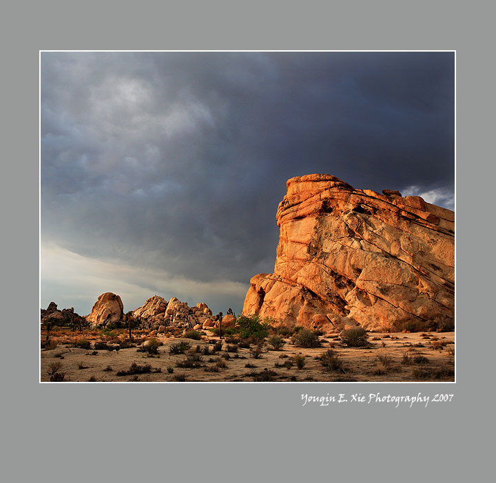 Joshua-072007-H.jpg