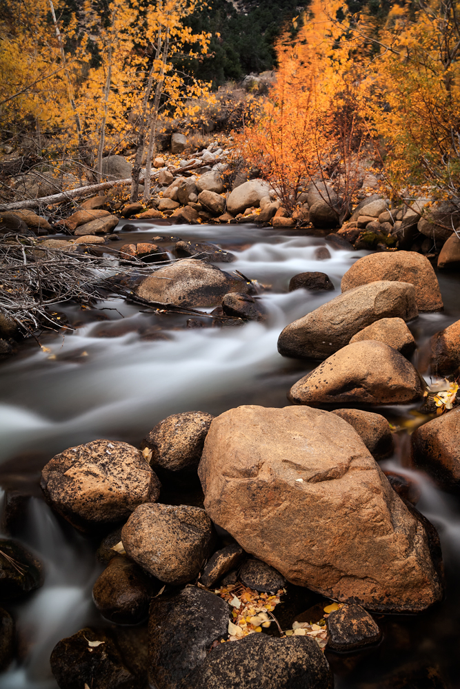 12-21-12-White-Mountain-150-Edit.jpg