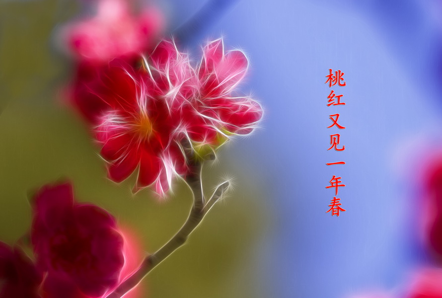 IMG_1260-1_调整大小.jpg