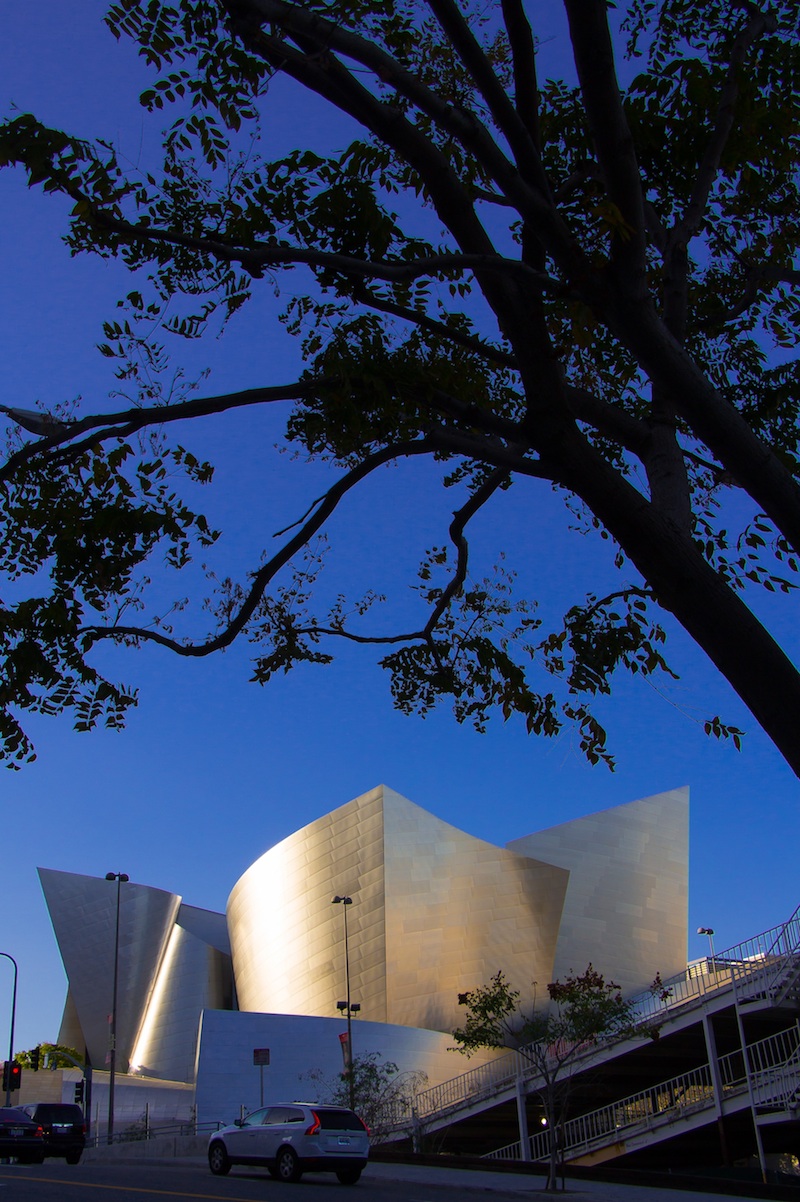 DisneyHall_7 copy.jpg