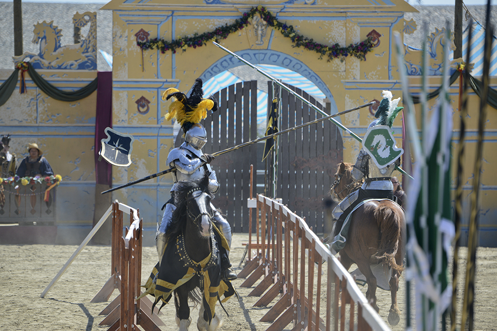 2014 Renaissance Fair Photo 5.jpg