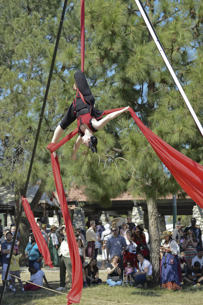 2014 Renaissance Fair Photo 8.jpg