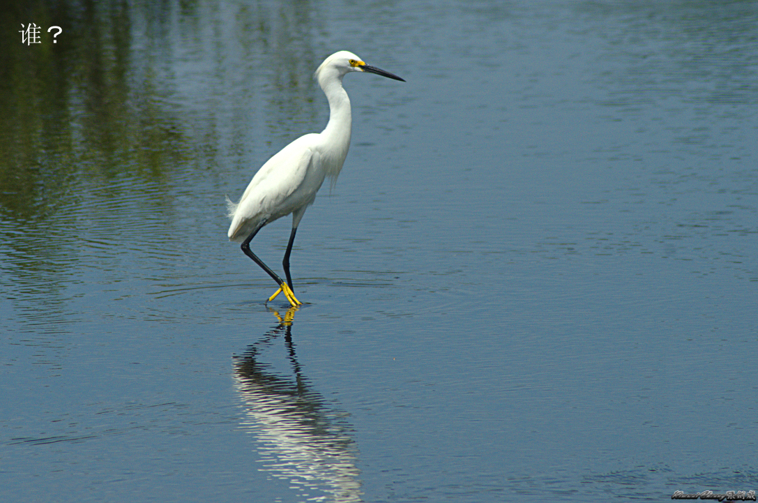 Florida DSC_0721.jpg