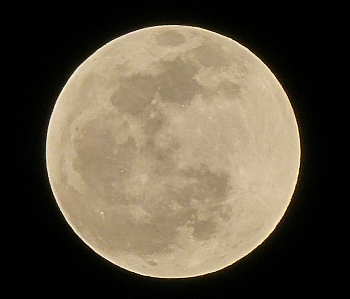 Big moon 4-14-14_qhdr salo.jpg