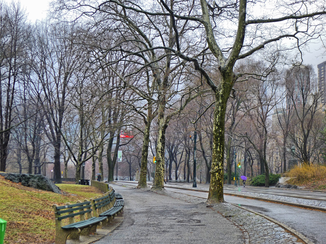 Central Park in the Rain1_qhdr email.jpg