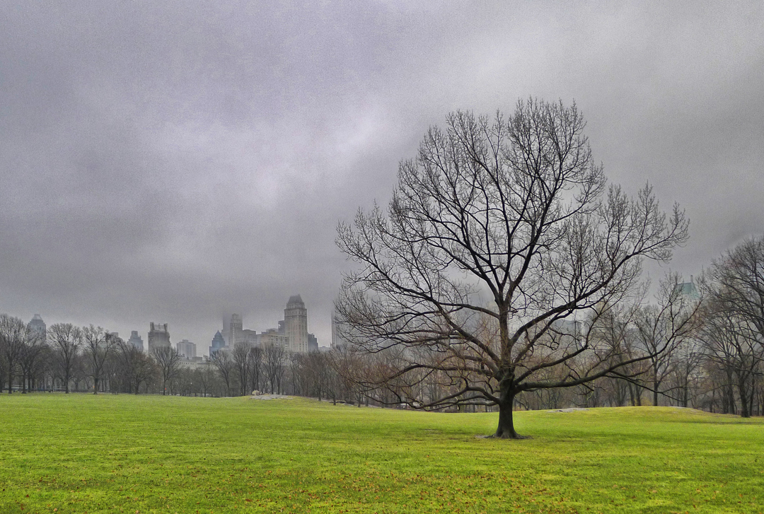 Central Park1_qhdr Perspective email.jpg