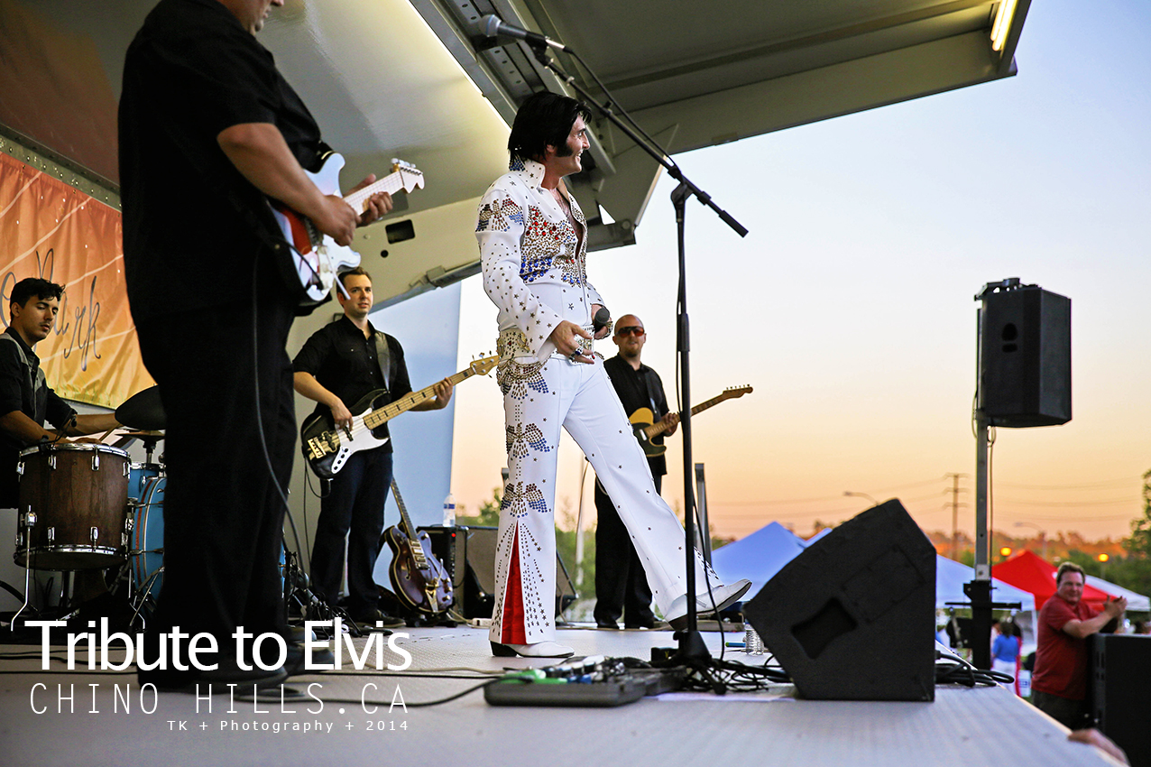 Tribute to Elvis001.jpg