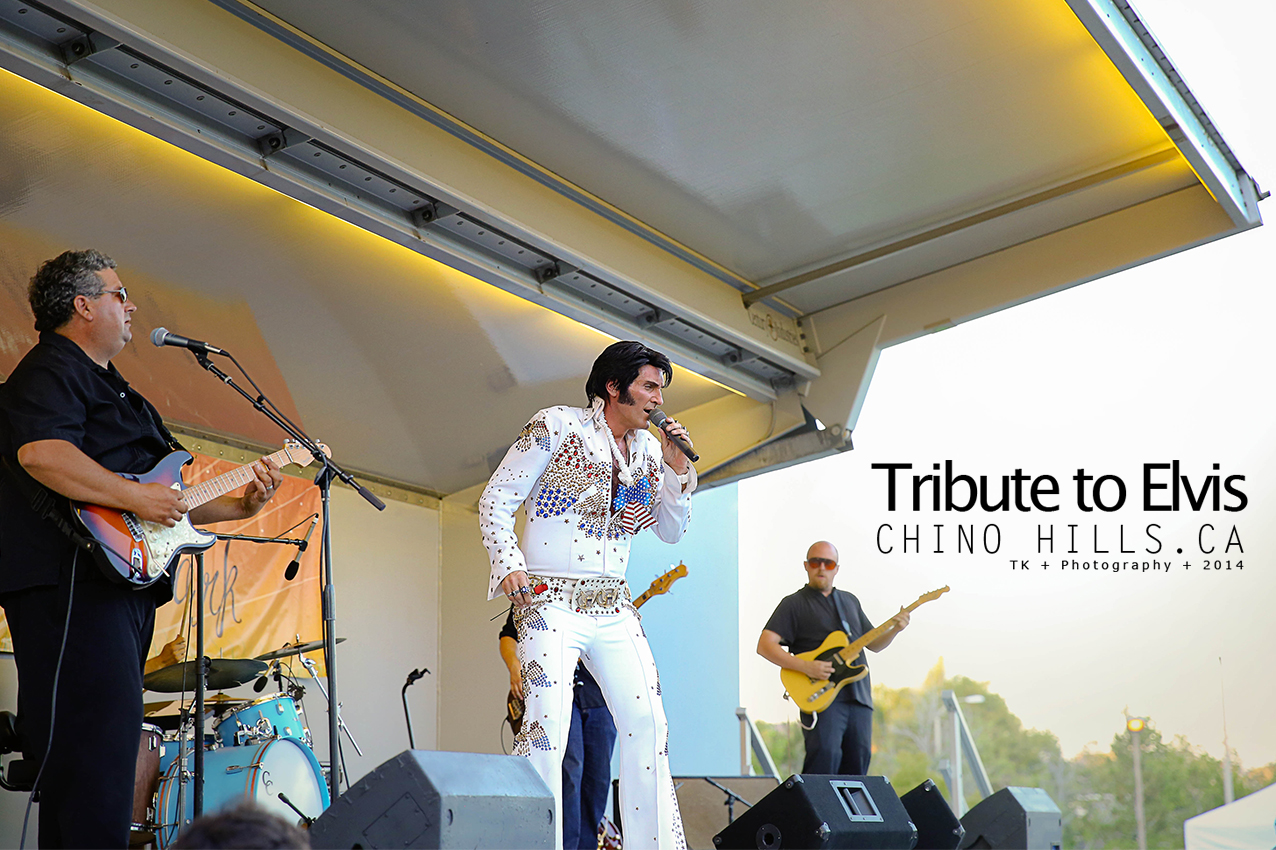 Tribute to Elvis007.jpg