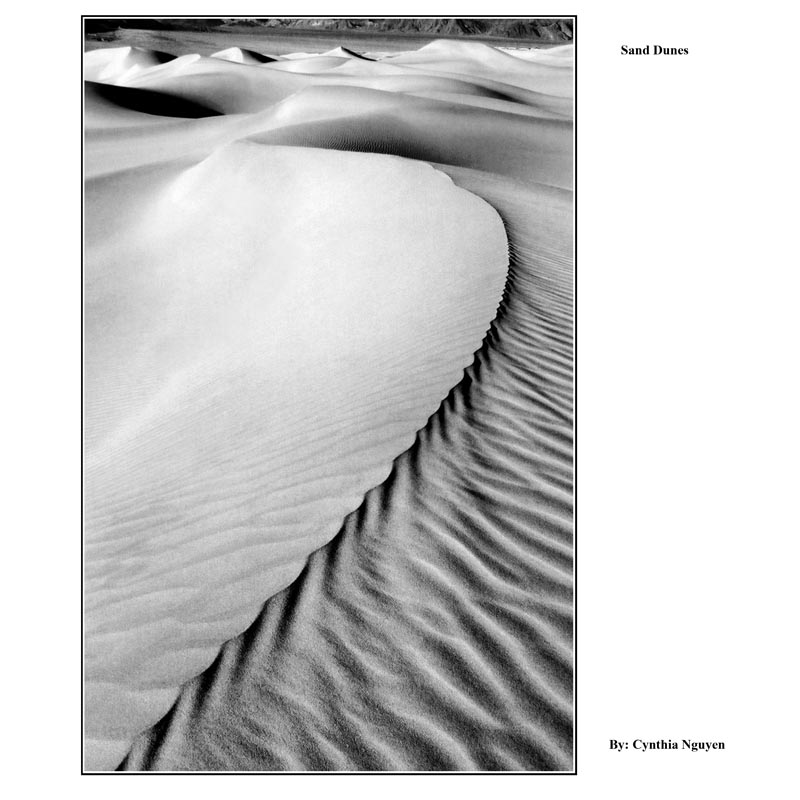 176 sand dunes copy.jpg