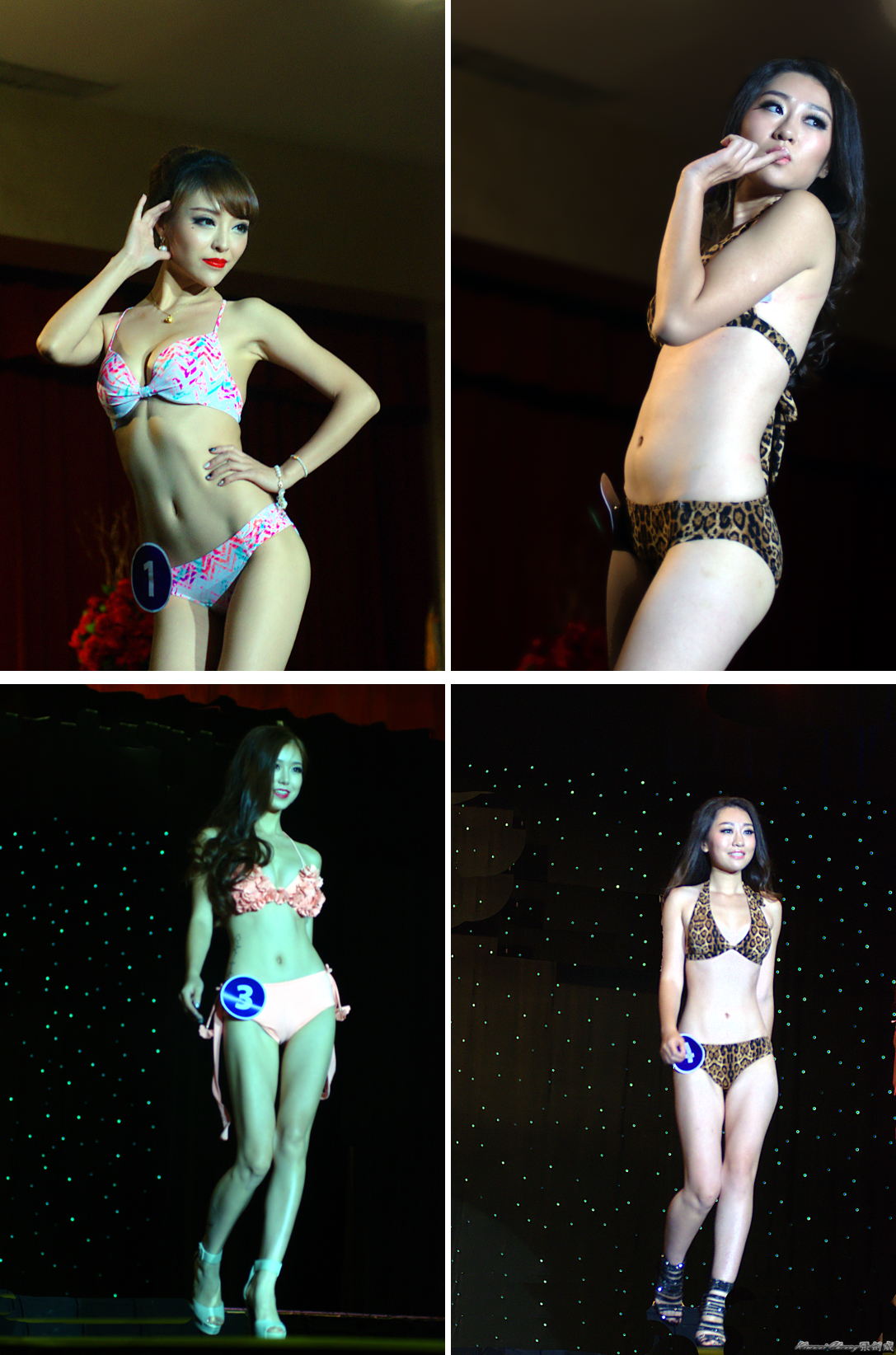 08-27-2014 G&E Model Show 1-4 swim.jpg