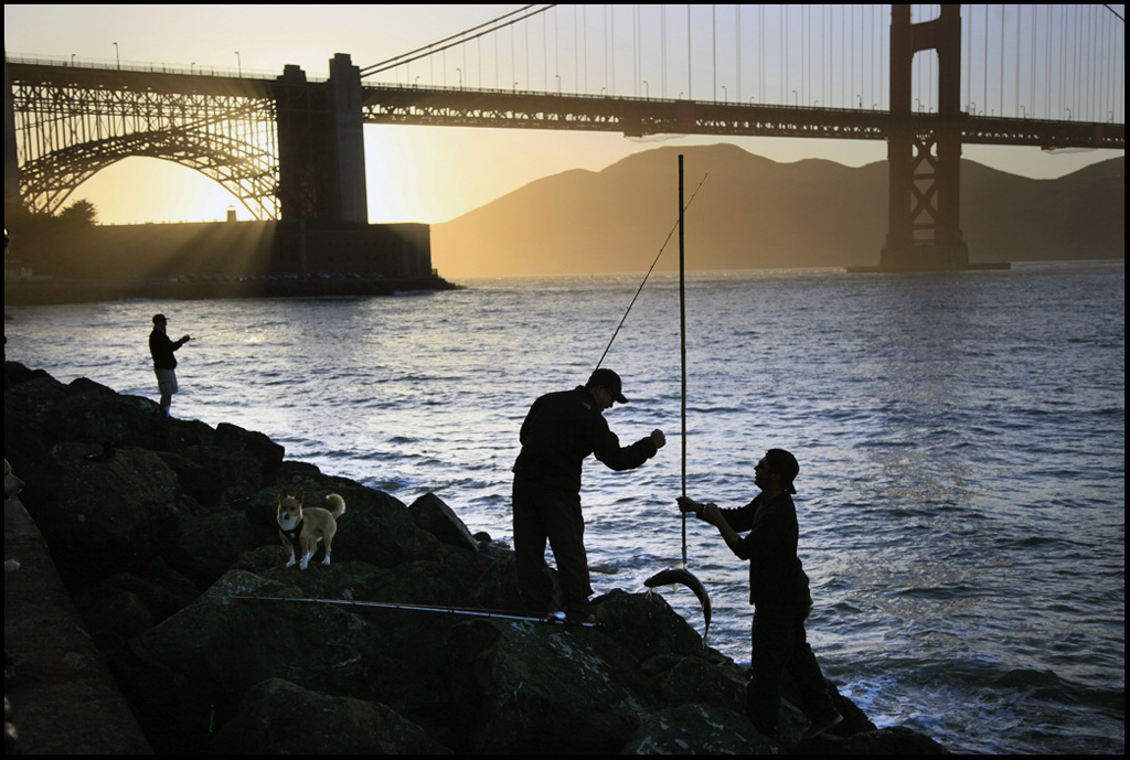 T4 ( FISHERMAN AT WORK) ERBI WAN #4.jpg