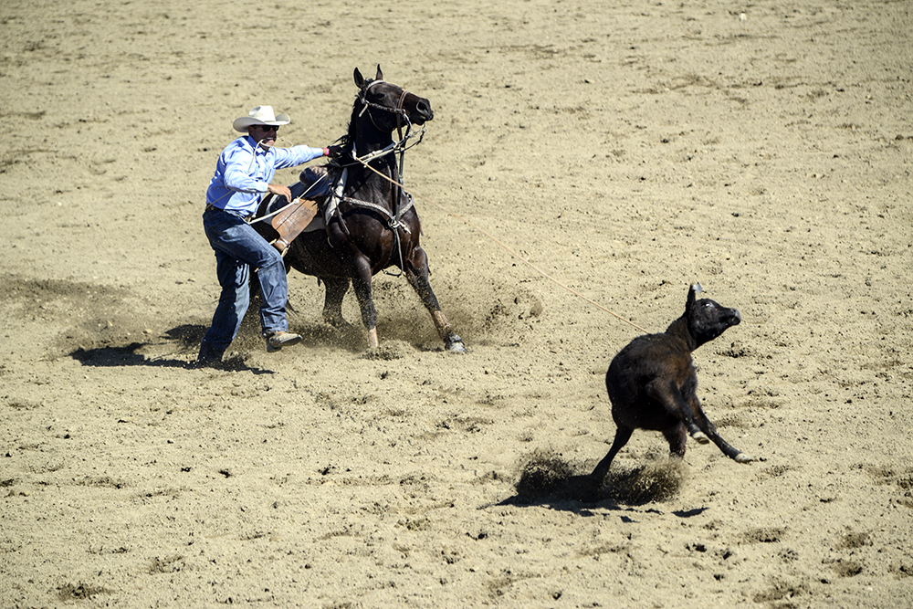 2014 San Dimas Rodeo 3.jpg