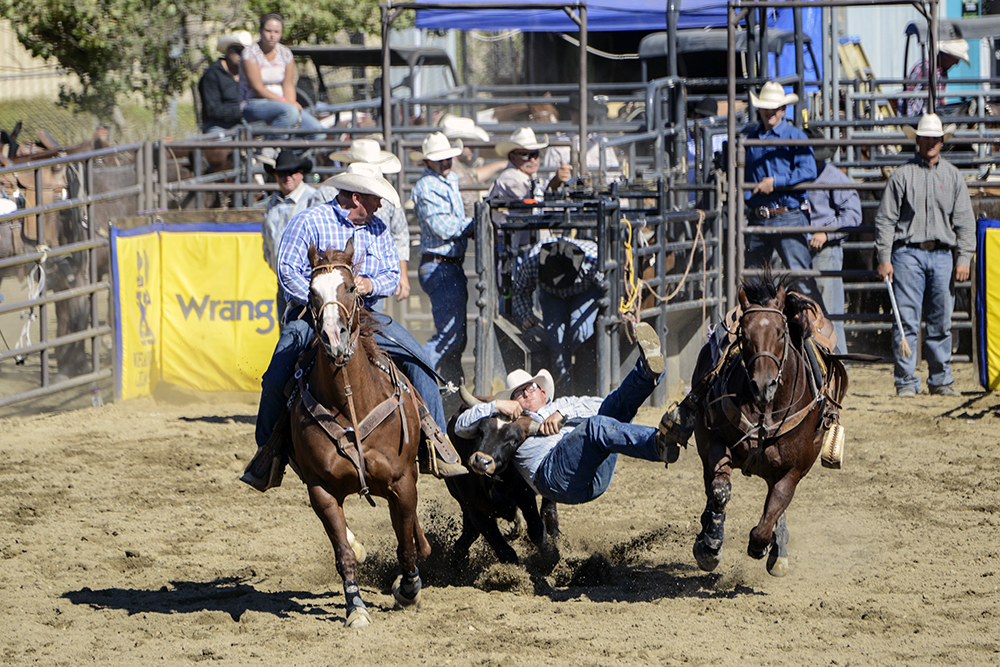 2014 San Dimas Rodeo 4.jpg