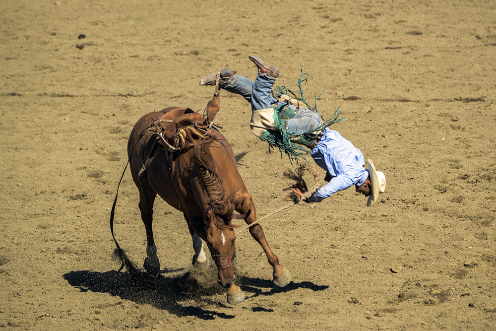 2014 San Dimas Rodeo 5.jpg