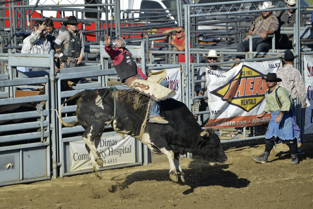 2014 San Dimas Rodeo 6.jpg