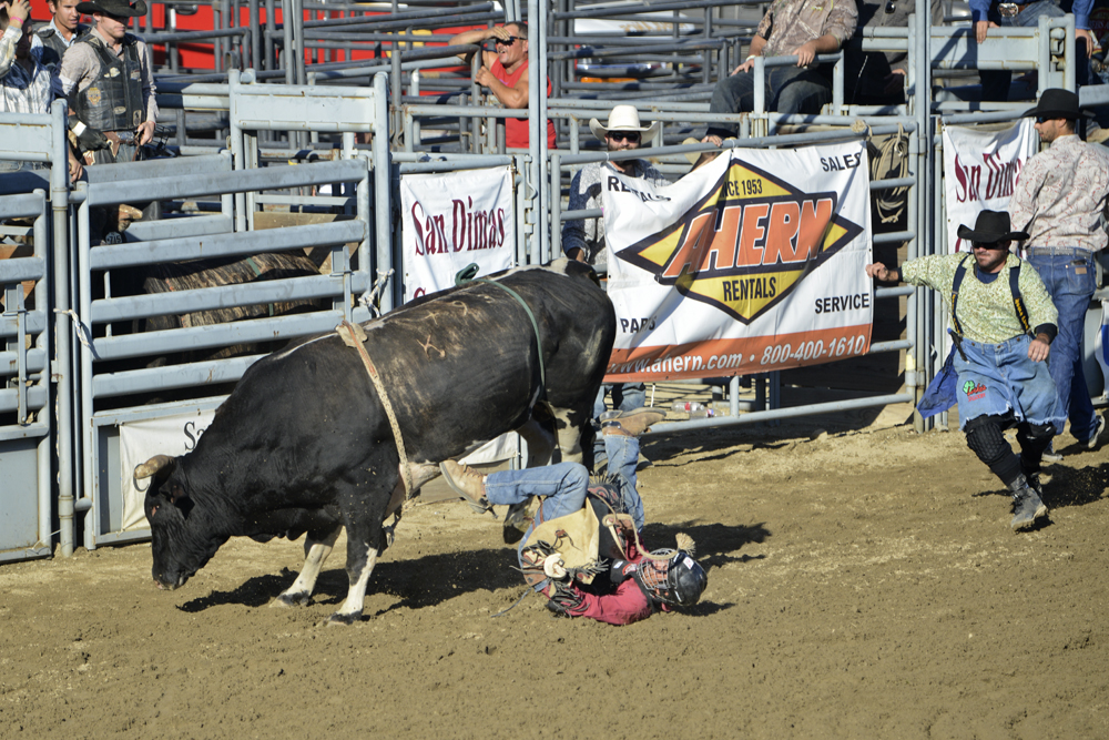 2014 San Dimas Rodeo 7.jpg