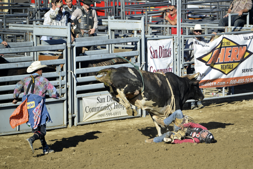 2014 San Dimas Rodeo 8.jpg