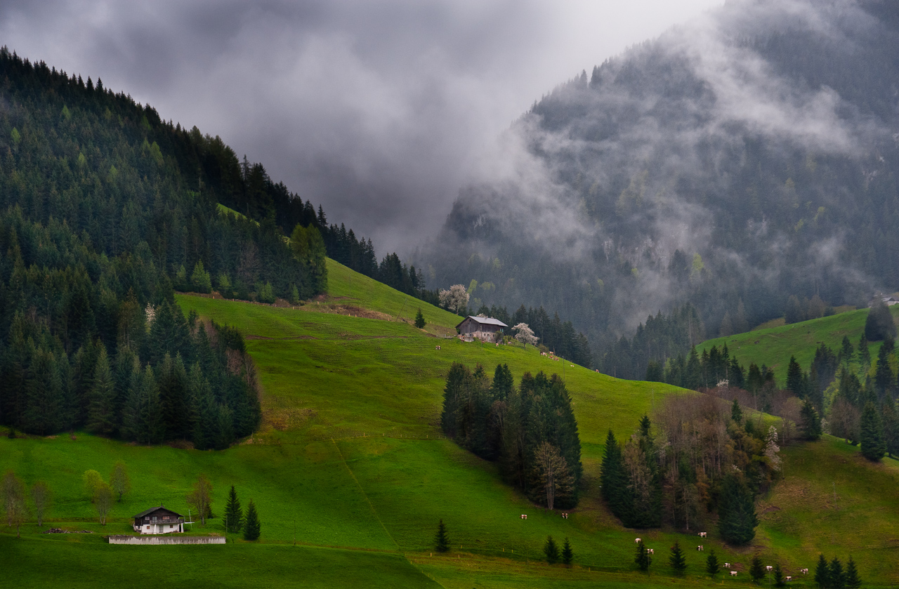 DSC_6649.jpg