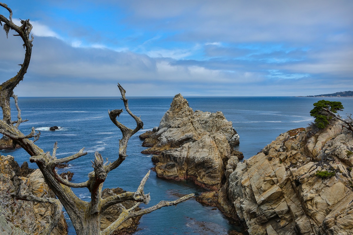 Point Lobos Park.jpg