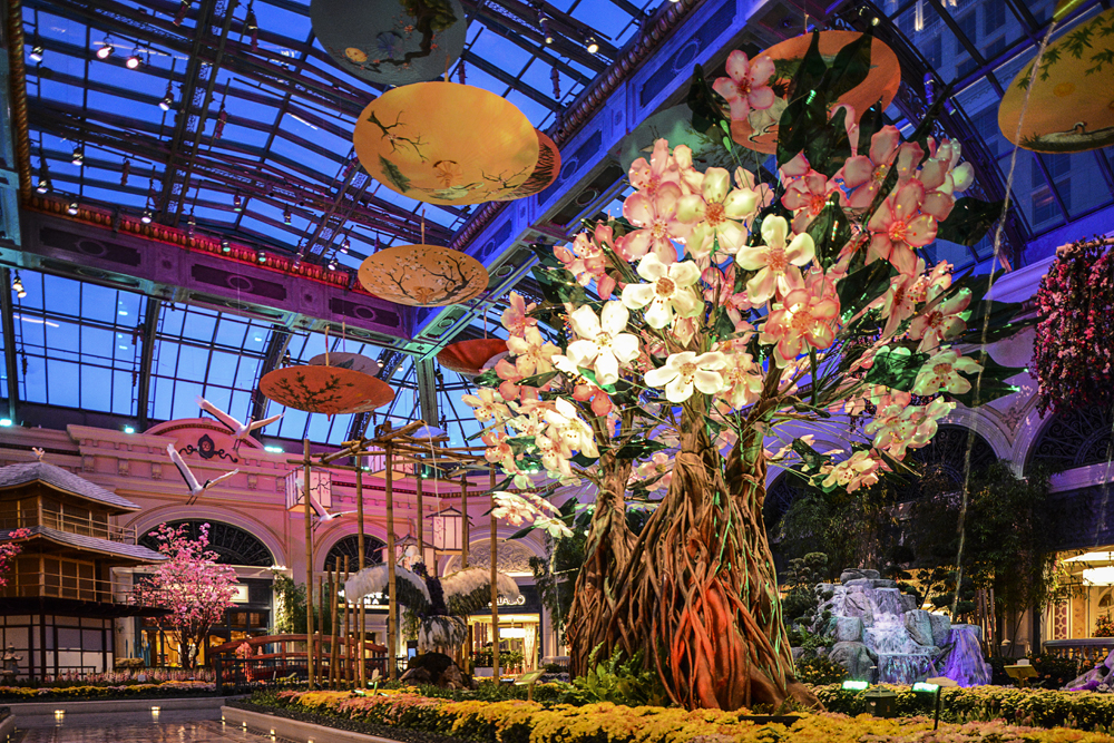 Bellagio Garden 1.jpg